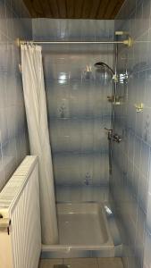 a bathroom with a shower and a bath tub at Apartments Vila Ančka in Tržič +21 photos