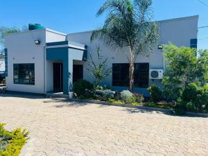 a house with a palm tree in front of it at Muka Staytel in Ndola