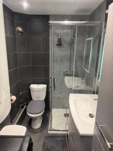 a bathroom with a shower and a toilet and a sink at T3 duplex Cosy Centre-ville Longjumeau Proche RER TGV Orly in Longjumeau