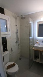 a bathroom with a shower and a toilet and a sink at Harbor View Apartment Athens in Piraeus +7 photos
