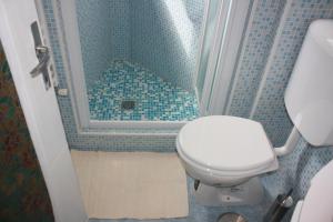 a small bathroom with a toilet and a shower at Apartment 2 in Venice