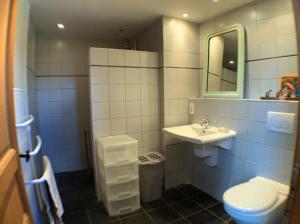 a bathroom with a sink and a toilet and a mirror at Ferme de Jeanleix in Sauxillanges +31 photos