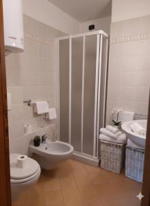 a bathroom with a shower and a toilet and a sink at Lo chalet di Lucky in Campodolcino