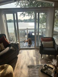 a living room with a dog laying on a porch at sunset luxury lakeside lodge with hot-tub,3 bedrooms, pet friendly in Tattershall