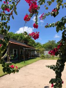 a house with pink flowers in front of it at Chalé Pitanga in Pôrto de Pedras