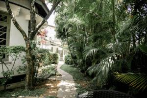 a garden with palm trees and a walkway at Hotel Mount Pleasant in Bandarawela +18 photos