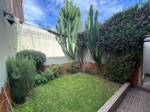a garden with a cactus in the corner of a building at Villa Salluzzi Apart Hotel in Tacna