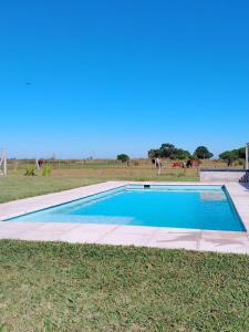 a swimming pool in a field with animals in the background at Refugio del sol Erezcano in Eréscano