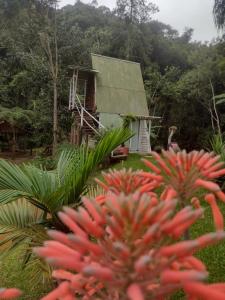 a garden with red flowers in front of a house at Chalé Do Lago in Piracaia