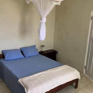 a bedroom with a bed with blue sheets and blue pillows at Romantic Cottage in Sauteurs