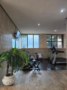 a gym with bikes and a palm tree in a room at Volpi Residence Savassi - VIP - Sinta-se em casa in Belo Horizonte