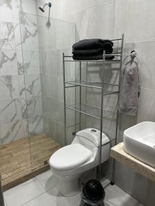 a bathroom with a toilet and a sink and a shower at Apartamento con acceso directo al río in Veracruz +6 photos