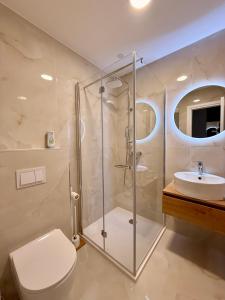 a bathroom with a shower and a toilet and a sink at Vila Vladorena in Požega +59 photos
