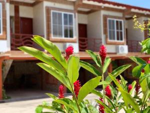 a plant with red flowers in front of a house at Hotel La Cabaña in Ciudad Melchor de Mencos