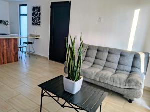 a living room with a couch and a table with a plant at Estudio Lavanda in Santa Rosa de Jáuregui