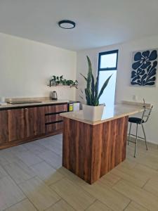 a kitchen with a counter with a potted plant on it at Estudio Lavanda in Santa Rosa de Jáuregui