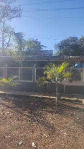 a palm tree in front of a house at Rancho Carvalho in Alexânia