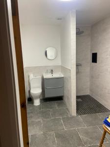 a bathroom with a toilet and a sink at 12A Benbulben View in Bundoran