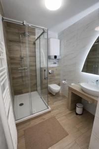 a bathroom with a shower and a toilet and a sink at Ośrodek TVP Sarnówek in Szałkowo
