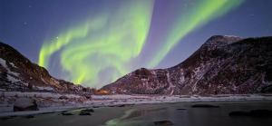 an image of the aurora dancing in the sky at Fygle living in Vestvågøya