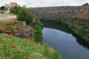 a river in a field of flowers with a castle in the background at Hotel Vado del Duratón in Sepúlveda