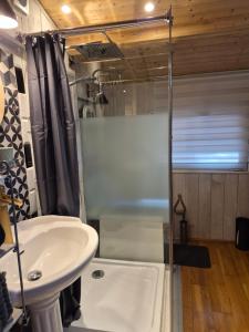 a bathroom with a shower and a sink at La Garette in Elbeuf-sur-Andelle +22 photos
