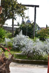a garden with white plants and a swing at El Hostal del Abuelo in Murillo