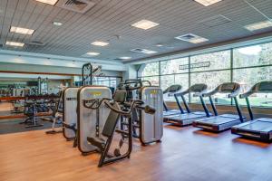 a gym with rows of treadmills and elliptical machines at Olympic Valley Summer Sanctuary in Everline Resort in Olympic Valley