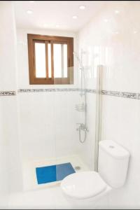 a white bathroom with a toilet and a shower at New Puerto Rico Terrace Swiming Pool in Mogán +5 photos