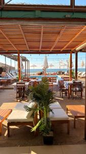 a patio with tables and chairs and a palm tree at The Point Mancora Beach - Hostel Juvenil de Fiesta in Máncora
