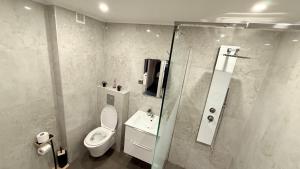 a bathroom with a toilet and a sink and a shower at Nid d'Amour in Strasbourg +6 photos