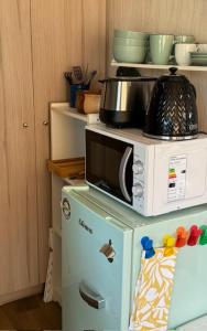 a microwave on top of a refrigerator in a kitchen at Rukachohan in Pucón