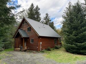 a small wooden cabin in the middle of trees at Creekside Cabin - Ski Chalet in Packwood