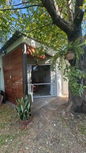 a porch of a house with a tree at Monoambiente 4 blocks away from the beach! in Paysandú +7 photos