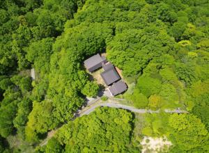 an aerial view of a road in the middle of a forest at 宿小町や in Senboku
