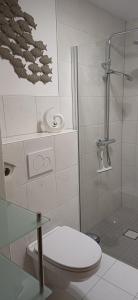 a bathroom with a toilet and a glass shower at Hauptstraße 19 in Zachenberg +23 photos