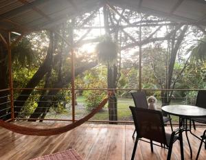 a hammock on a porch with a dog sitting in chairs at Mayra Campground in Savegre