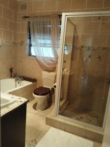 a bathroom with a shower and a toilet and a sink at Amru Guesthouse B&B in Brackenfell +15 photos