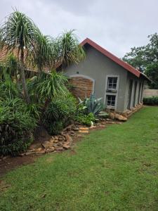 a house with a palm tree next to a yard at At the Well guesthouse in Boksburg