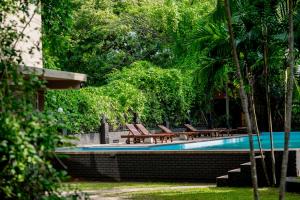 a swimming pool with chairs and trees and a pool at Lavendish Country Resort in Dambulla