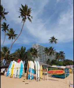 a bunch of surfboards are lined up on a beach at m&s villa in Weligama