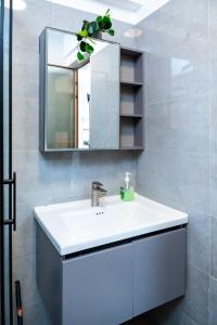 a bathroom with a white sink and a mirror at Shangri LA Residency in Gatunga