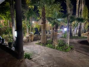 a courtyard with palm trees at night with a chair at Beau Riad de 3 chambres avec piscine à la rte d'Ourika in El Jemʼa Ghemat