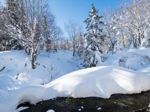 a pile of snow in a forest with trees at Yachi Onsen in Towada