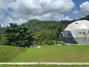 a large domed tent in a field with trees at Sinharaja Geo Dome in Nelluwa