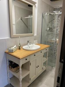 a bathroom with a sink and a shower at Casa Veche in Runcu +47 photos