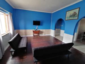 ein Wohnzimmer mit blauen Wänden und einem Sofa in der Unterkunft Skippers Backpackers CC in Walvis Bay