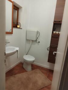 a bathroom with a toilet and a sink at Vikend kuća Davor in Risovac +11 photos