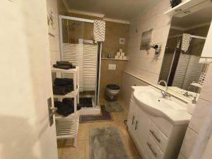 a bathroom with a sink and a toilet in it at FeWo Mephisto in Pottenstein