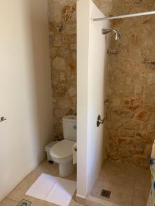 a bathroom with a toilet and a stone wall at Kouvarata Villas Stavros in Vathi +26 photos